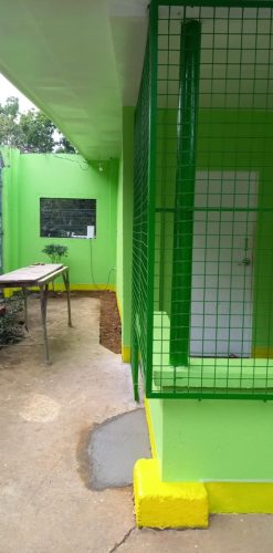 green-1